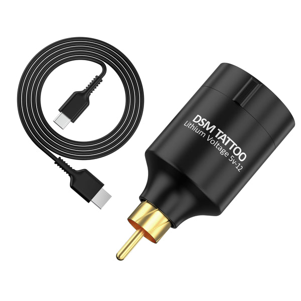DSM PEN Battery Pack